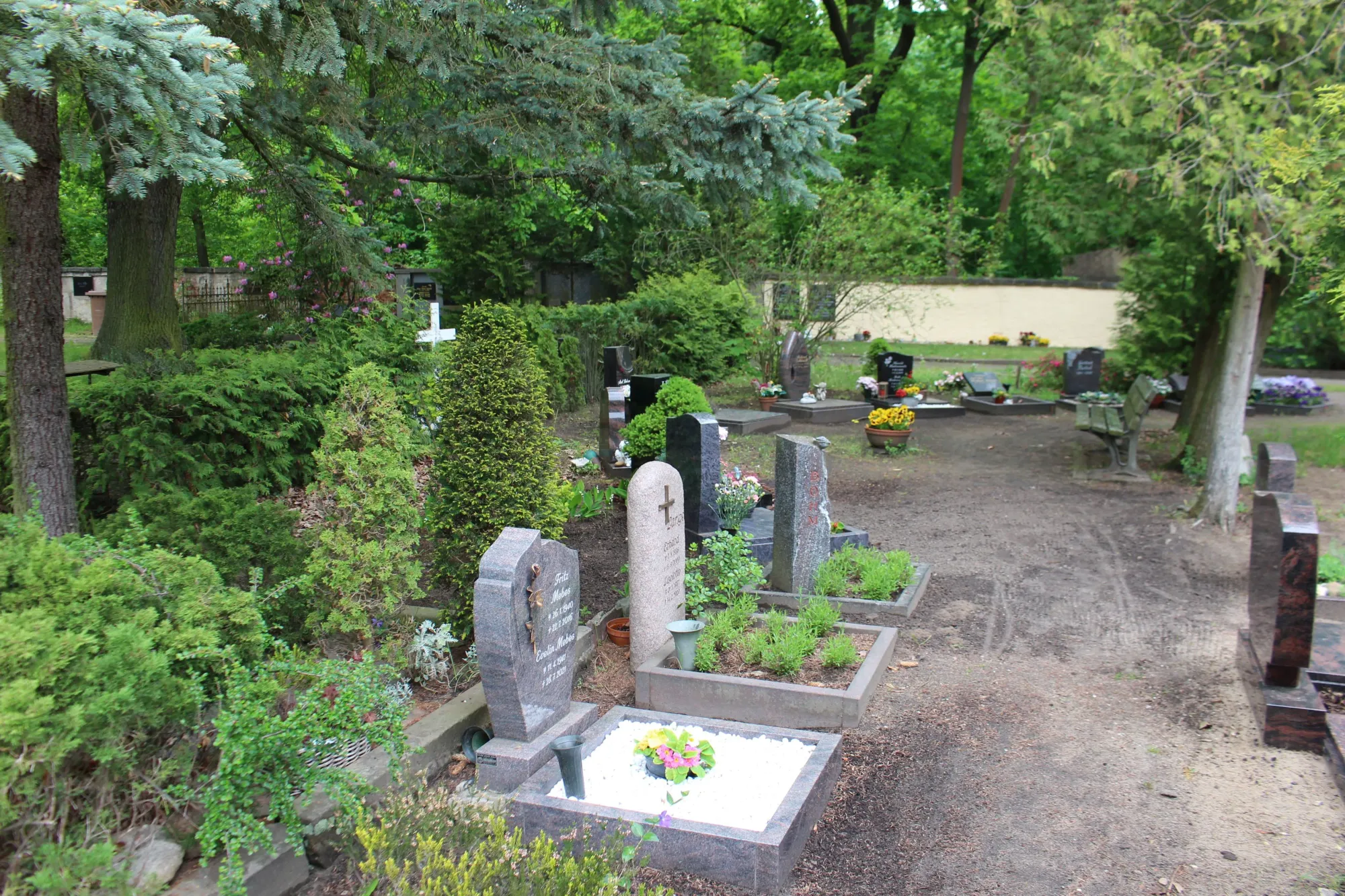 Historische Grabmale zwischen alten Bäumen auf dem Evangelischen Friedhof Roßlau