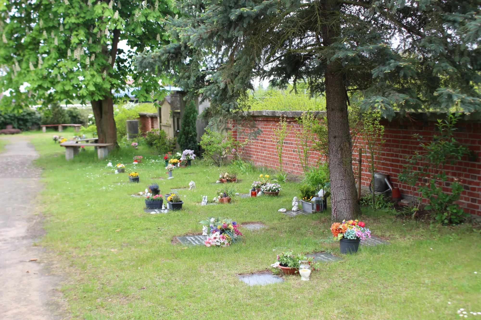Rasenfläche mit Grabplatten an der alten Backsteinmauer des Friedhofs